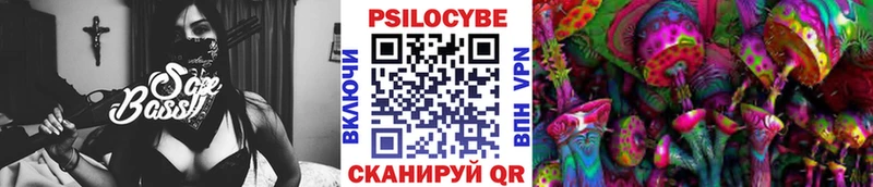 Купить где  Кяхта  Галлюциногенные грибы GOLDEN TEACHER 