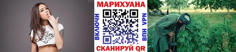 Бошки марихуана OG Kush  Купить где  Кяхта 